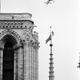 A Paris fire department helicopter hovers over Notre Dame Cathedral, in Paris, on Jan. 19, 1969, and lowers a fireman, dangling on the end of a line, to remove a blue and red South Vietnamese National Liberation Front, Viet Cong, flag placed on a 250-foot Cathedral spire.